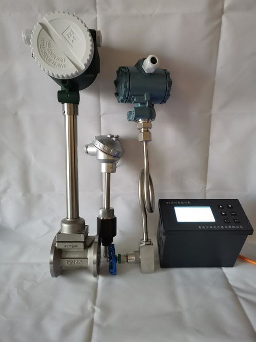 吉林長春食品廠專用蒸汽流量表 蒸汽計量表